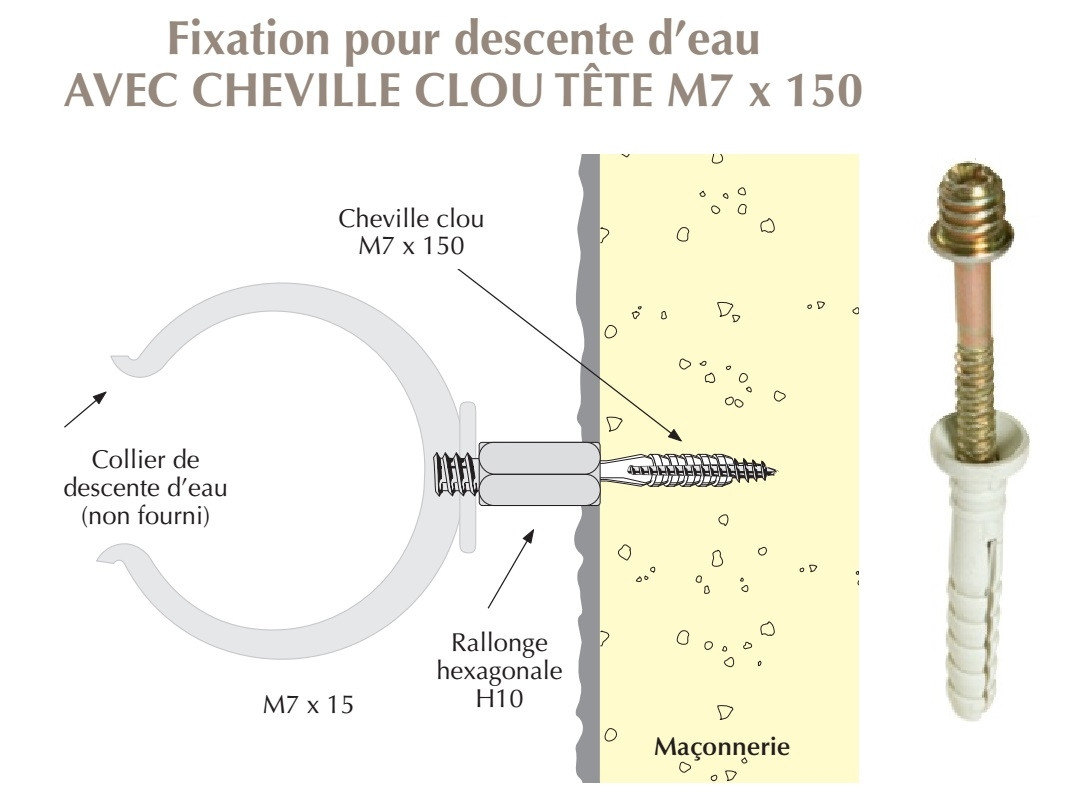 cheville clou tête fileté M7x150 pour colliers de descentes d'eau sur maçonnerie