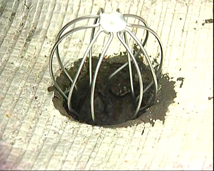 Crapaudine | Crapaudine extensible descente d'eau | Faynot