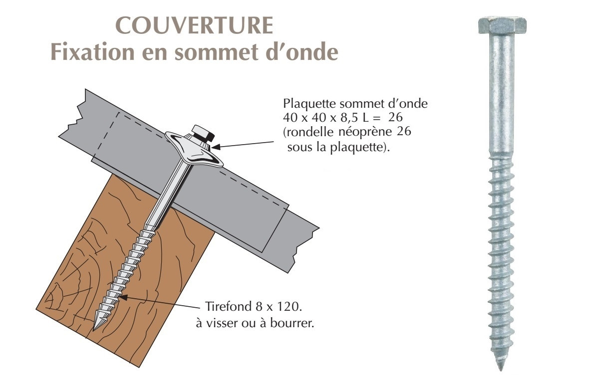 Lot de 50 chevilles et vis à visser STANDERS, Diam.13 x L.31 mm