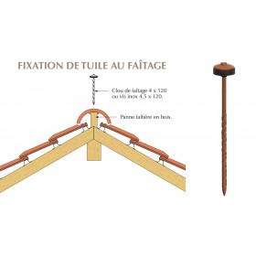 Pointe torsadée laquée pour fixation de tuile au faitage