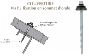 Vis autoperçeuse P5 à ailettes TK12 pour couverture plaque fibres-ciment 177x51 sur profilés/tubes