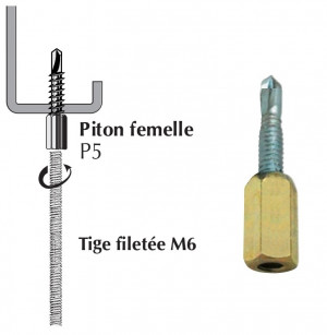 piton femelle P5