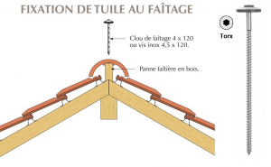 Vis inox torx pour fixation de tuile au faitage