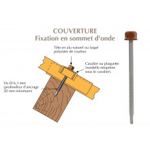 Vis têtalu autoperçeuse P1 Ø6.3 TK12 laquée pour couverture bacs acier nervurés sur bois