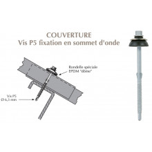 Vis autoperçeuse P5 à ailettes TK12 pour couverture plaque fibres-ciment 177x51 sur profilés/tubes