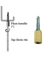 piton femelle P5