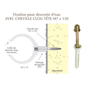 cheville clou tête fileté M7x150 pour colliers de descentes d'eau sur maçonnerie
