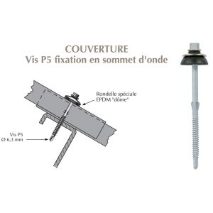Vis autoperçeuse P5 à ailettes TK12 pour couverture plaque fibres-ciment 177x51 sur profilés/tubes
