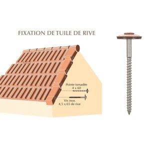 vis tuiles rive