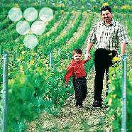 comment fixer plaques polycarbonate