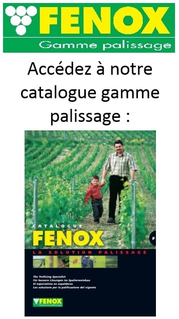 car fenox