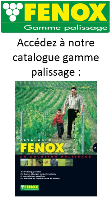 site fenox