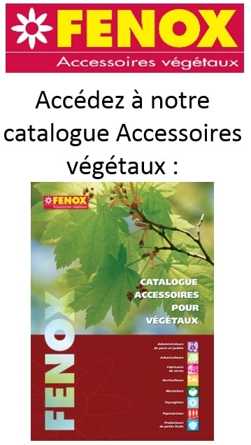 cat veg