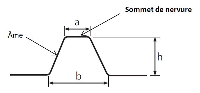 forme-bac-nervure