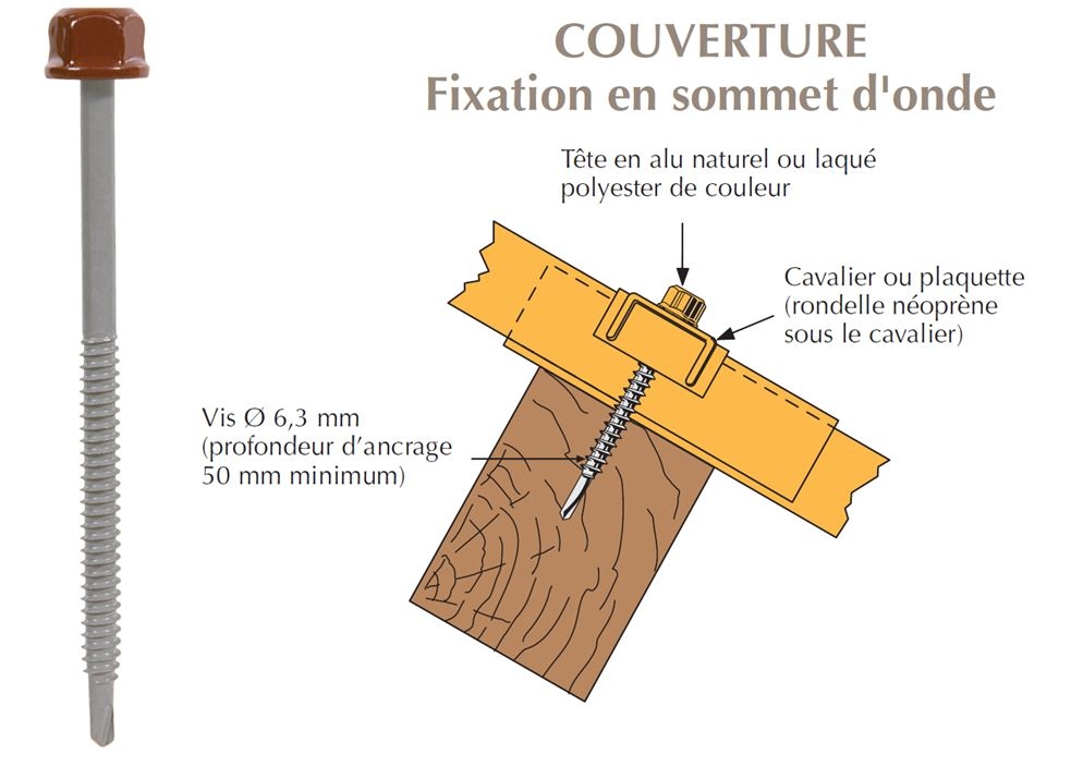 vis-tetalu-P1