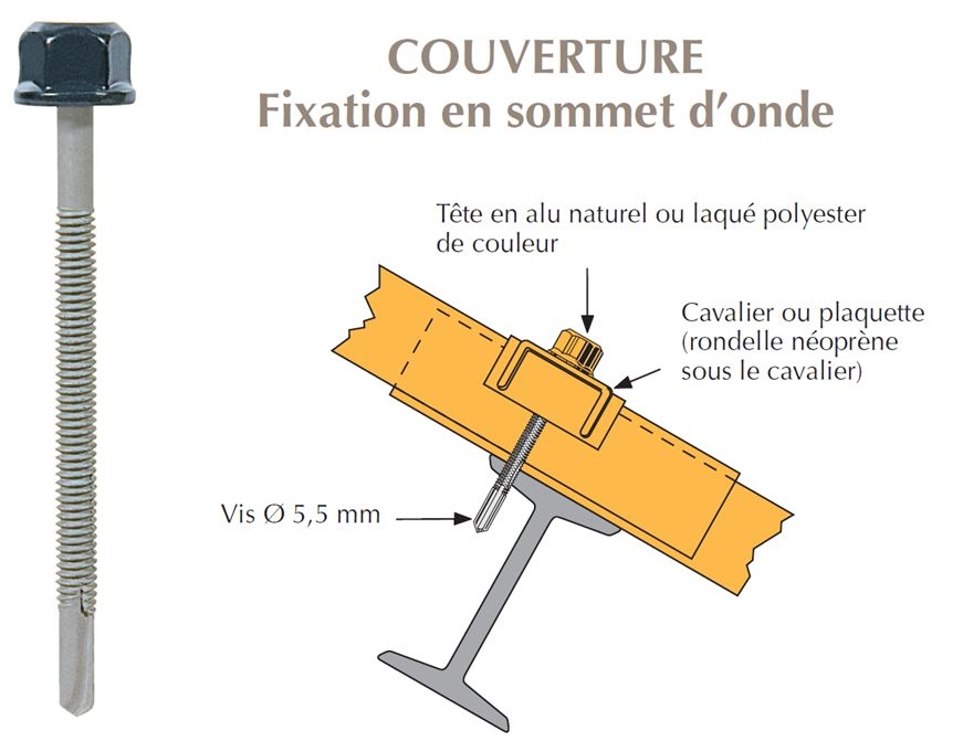 vis-tetalu-p13